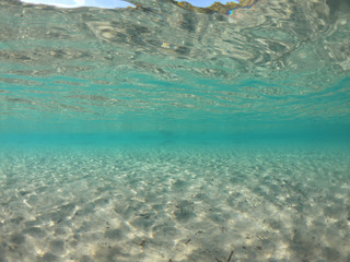 Underwater photo of super paradise beach with turquoise clear sea located in Greek island of Mykonos, Cyclades, Greece