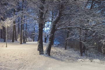 Winter snow fall in Helsinki