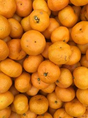 pile of oranges
