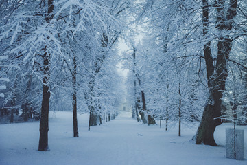 Winter snow fall in Helsinki