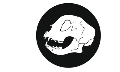 Cat Skull Black | Katzenschädel