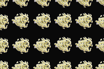 Floral pattern of a series of chrysanthemums on a black background Top view flat lay