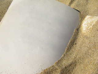 Empty yellowed pages of an old vintage notebook covered with small grains of sand and forgotten somewhere on a sunny beach by the sea.