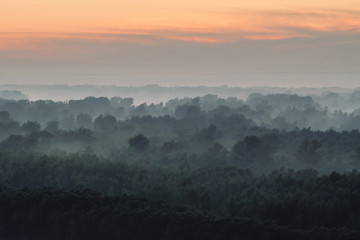 Mystical view from top on forest under haze at early morning. Eerie mist among layers from tree silhouettes in taiga under predawn sky. Morning atmospheric minimalistic landscape of majestic nature.