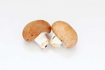 Braune Champignons