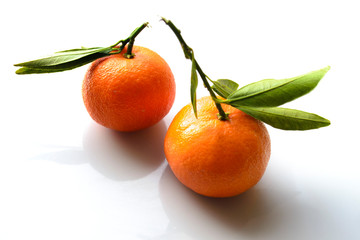 two tangerines with twigs and leaves