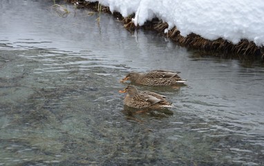 Cold not for everyone