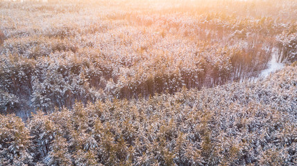 Sunset over snow covered woodland, aerial photo