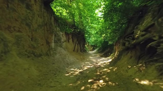 Poland, ravine near Kazimierz Dolny city, drone flight through
