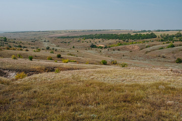 Fototapeta premium The steppe is woodless. Ravine in the steppe. Veld Ukraine. Forest of the steppe landscape. Forest formation. Poor in moisture. Grass vegetation in the dry climate zone.
