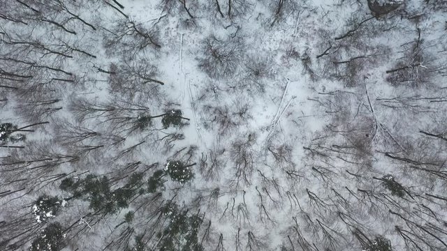 jura, z lotu ptaka zimowe g&oacute;ry i las