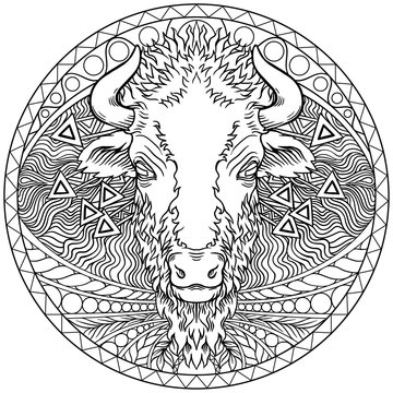 Vector of a buffalo head design on white background.