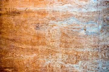 texture of old wooden ply