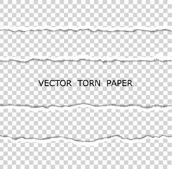 Vector realistic torn paper on transparent background. Torn Paper Edge. Horizontal stripes with a shadow.