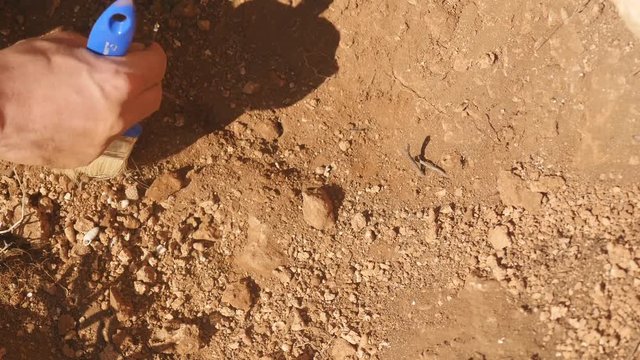 Young archeologist works on an archaeological site