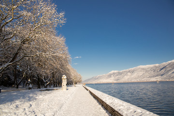 winter snow trees in Ioannina lake Greece