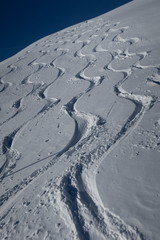 skiing snow winter sport ski tracks traces curves