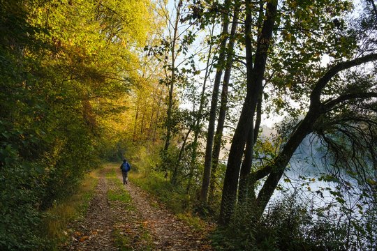 Woman on a hiking trail on the Isar, nature reserve Isarauen near Oberhummel, district of Freising, Upper Bavaria, Bavaria, Germany, Europe