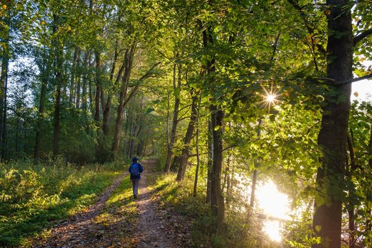 Woman on hiking trail on the Isar, morning mood, nature reserve Isarauen near Niederhummel, district of Freising, Upper Bavaria, Bavaria, Germany, Europe