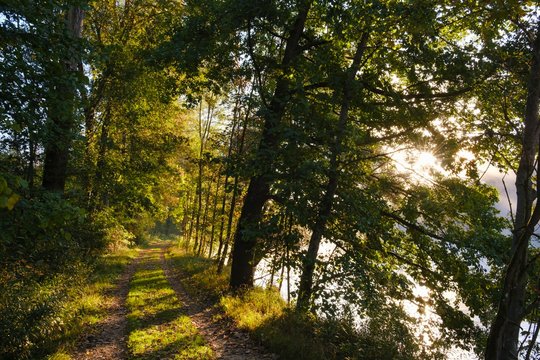 Hiking trail on the Isar, morning mood, nature reserve Isarauen near Niederhummel, district of Freising, Upper Bavaria, Bavaria, Germany, Europe