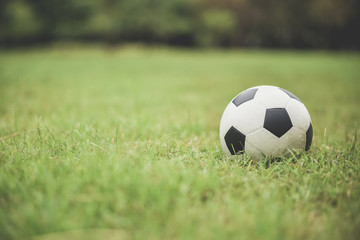 Fototapeta na wymiar soccer football on green grass