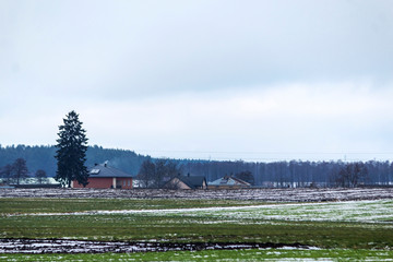 A bit of snow on a plowed field and pasture. House and spruce in the background. The beginning of winter in Europe.