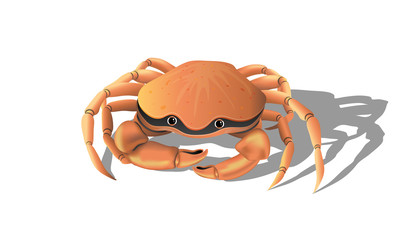 The character is a cute friendly crab with big eyes, all elements of the limbs can be moved by bending, straightening them.
