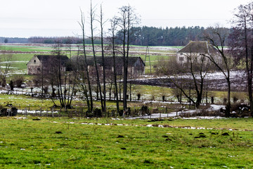 A bit of snow on the fields and green pastures. Forest and abandoned dairy farm in the background....
