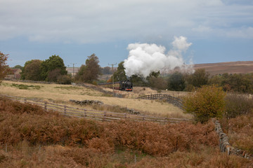 Fototapeta na wymiar North York Moors Railway