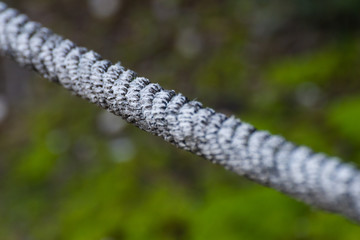 closeup rope on defocused green moss background