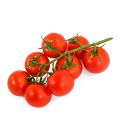 Branch of ripe red tomato on an isolated background.