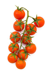 Branch tomato on an isolated background,top view