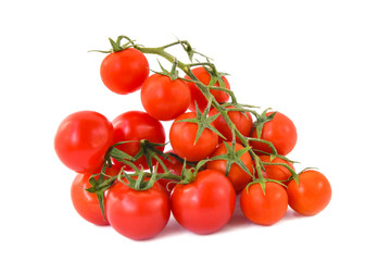 Branch of ripe red tomatos on an isolated background.