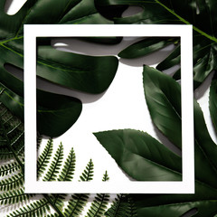 Creative layout made of tropical leaves with empty white paper frame. Flat lay. Eco nature concept. Minimal style.