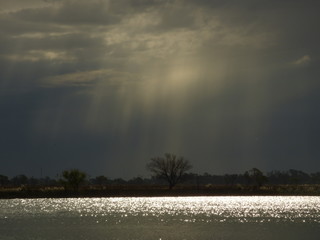 Fototapeta premium horizonte