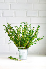Bunch of fresh green thyme herbs on white table. Copy space.