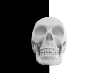 Skull on black and white background