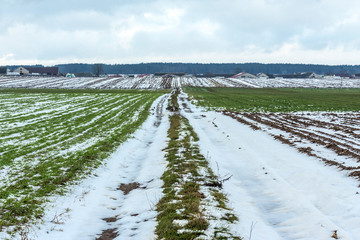 On the country road between arable land and meadow, there is some snow. Puddles on the road. Farm...