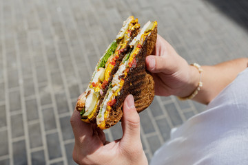 Sandwich with smoked chicken, cheddar cheese, pickled onions, pickled cucumber and sauce in male hands.