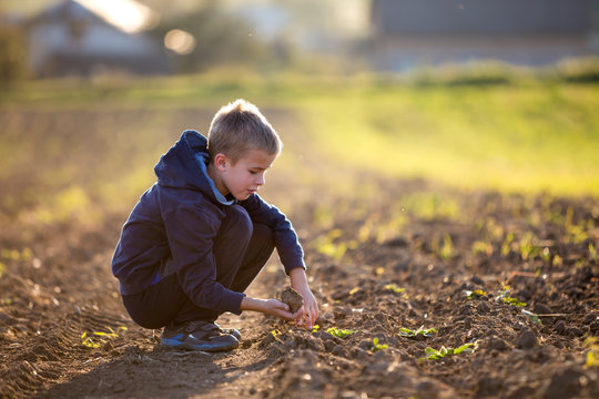 Young Blond Serious Tired Child Boy Squatting Alone In Empty Field After Harvest On Late Summer Or Autumn Day On Blurred Sunny Background. Hard Peasant Labor Concept.