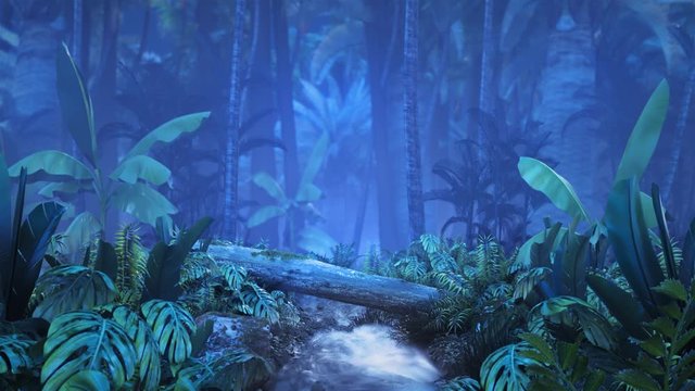 Night tropical jungle with a brook