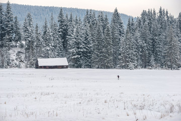 biegacz na nartach © Kamil_k2p