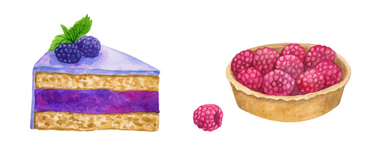 Purple cake with blackberry and icing. Cake with raspberries. Hand drawn watercolor illustration. Isolated on white background.