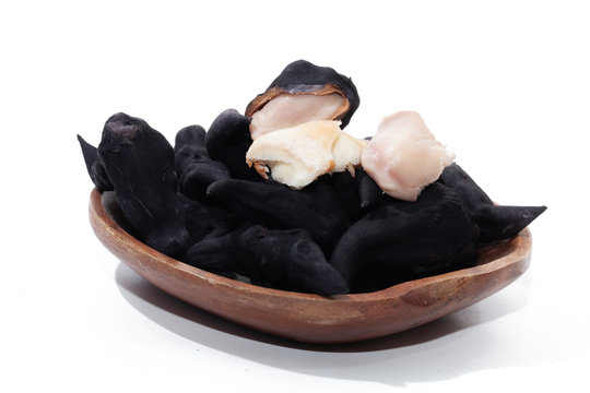 Water Chestnut and Water caltrops on white background