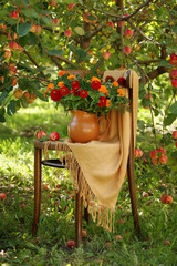 still life with red zinnias on a chair under an apple tree