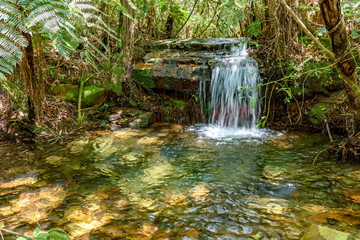 Small lake and river with transparent water between the rainforest vegetation in Carrancas, Minas Gerais, Brazil