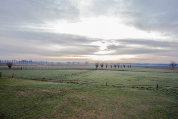 Picturesque fairy sunrise over a misty meadow in winter morning landscape