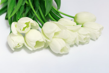 Bunch of white tulip flowers on white background. Blooning white tulip. Selective focus. Top view.