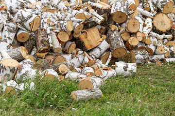 Pile of firewood. Wood Firewood on ground. Preparation woods for winter. Wood texture.