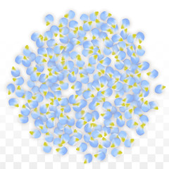 Vector Realistic Blue Petals Falling on Transparent Background.  Spring Romantic Flowers Illustration. Flying Petals. Sakura Spa Design. Blossom Confetti.